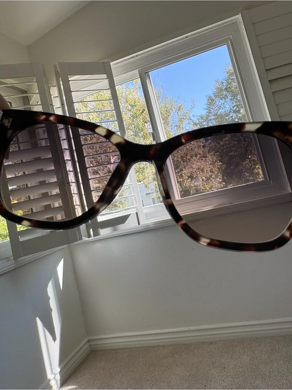 Warby Parker Tortoiseshell Cat-Eye Sunglasses with Brown Gradient Lenses
